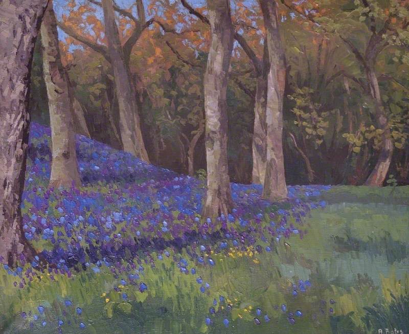 Bluebell Wood