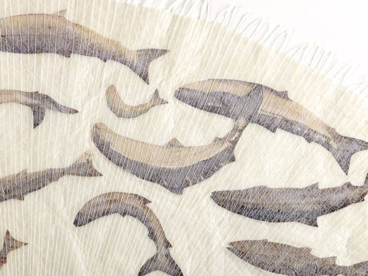 Detail of Coming Home - Salmon; Paper, stitch, watercolour - 80cm diameter