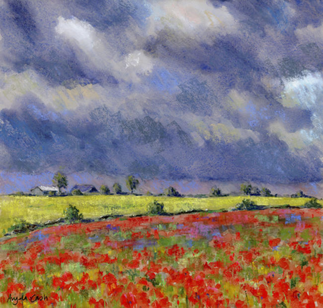 Poppy Field