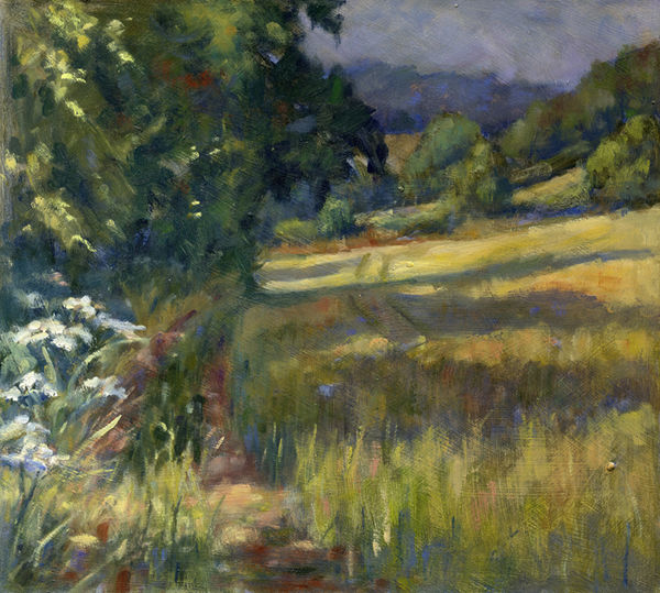 Barley Field