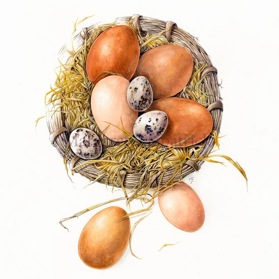 Basket of Eggs