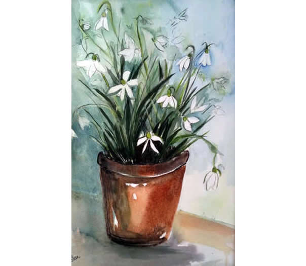 Snowdrops