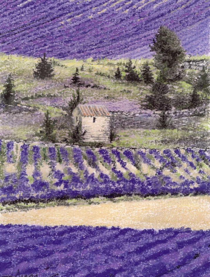 Hillside Lavender