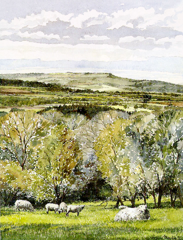 Cotswold Landscape