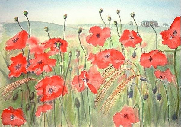 Poppies